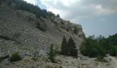 Trail Walking Bédoin - MT Ventoux ST Colombe 15 juin 2021 (IBP 132) CAF - Photo 1