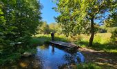 Tour Wandern Gedinne - Marche Adeps à Gedinne - Photo 5