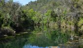 Randonnée Marche Correns - Correns - Val Obscur - Rive de l'Argens - Grotte aux Fées - Châteauvert - Vallon Sourn - Photo 9