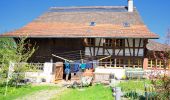 Tour Zu Fuß Uster - Freudwil - Illnau - Photo 4
