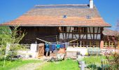 Percorso A piedi Volketswil - Wangen - Illnau - Photo 3