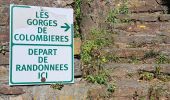 Percorso Marcia Colombières-sur-Orb - Gorges de Colombieres et retour au col de Madale - Photo 18