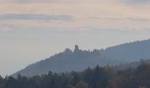 Trail Walking Eguisheim - Randonnée 5 châteaux - Eguisheim - château d'Hagueneck - château de Hohlandsbourg - trois châteaux d'Husseren - Photo 1