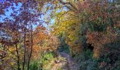 Randonnée Marche Brue-Auriac - Pigeonnier- Pont de Sumian - Chute du Tombereau - Bords de L'argens - Prieure Notre Dame -Le Village - Photo 20