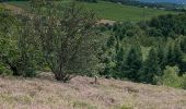 Tour Wandern Chevagny-les-Chevrières - 05.08.2021 - Photo 3