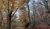 Tour Wandern Marsanne - Marsanne Les Fileuses 11km - Photo 3