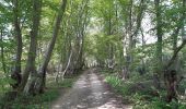 Tour Wandern Sprimont - les forges . fraipont . andoumont . les forges - Photo 19