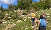 Percorso Marcia Ghisoni - Refuge de Capannelle-refuge du col de Verde - Photo 4