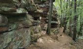 Trail Walking Wissembourg - Gr5J1 - Photo 6