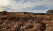 Tour Wandern Weismes - botrange - tour de la fagne wallonne  - Photo 8