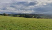 Tocht Stappen Érezée - rando amonines 26/10/2020 - Photo 10