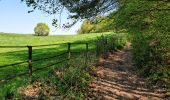 Tour Wandern Grez-Doiceau - Pécrot - Photo 5