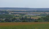 Tour Wandern Oissel - 20200623-Oissel et le Petit Essart - Photo 8