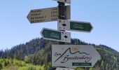 Trail On foot Bad Peterstal-Griesbach - Wiesensteig - Photo 6