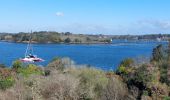 Randonnée Marche Île-aux-Moines - PR_56_Ile-Aux-Moines_AA_01_Circuit1b_Le-Tour-De-L-Ile-Aux-Moines_20230415 - Photo 20