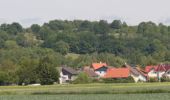 Randonnée A pied Nidda - Nidda-Rundweg - Photo 4