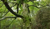 Randonnée Marche nordique Lauroux - Labeil Forêt de L'Escandorgue Roquet Escu - Photo 5