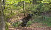 Trail Walking Florenville - 83.631 Muno -  Chassepierre   - Photo 17
