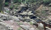 Trail Walking Jalhay -  Boucle de Charneux 17 Km  - Photo 13