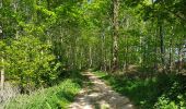 Randonnée Marche Court-Saint-Étienne - Bois³ de l'Abbaye - Photo 8