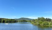 Tour  Cheminas - Lac de Meinettes de Cheminas - Photo 5