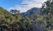 Tocht Stappen Saint-Raphaël - Rando des Etangs - Photo 5