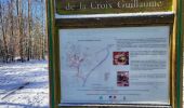 Trail Walking Saint-Quirin - St Quirin et ses 6 roses - Photo 10