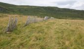 Tocht Stappen Albepierre-Bredons - Le Plomb du Cantal - Photo 4