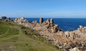 Tocht Stappen Ouessant - OUESSANT - Photo 8