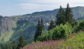 Tour Wandern Morzine - Hauts Fotrs - Photo 9