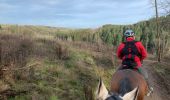 Trail Horseback riding Bastogne - Livarchamps décembre 2020 - Photo 1