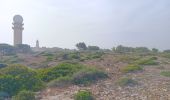 Tocht Stappen Leucate - leucate - la franqui (via le plateau) - phare (via la falaise) - leucate (via le plateau) - Photo 8