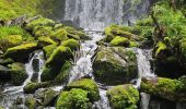 Excursión Senderismo Xonrupt-Longemer - 2024 RA Vosges J3 tour du schiessrothried - Photo 16