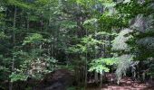 Tocht Stappen Saint-Agnan-en-Vercors - Rocher du mas (vercors) - Photo 17