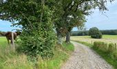 Randonnée Marche Viroinval - Oignies en Thierache 20,7 km - Photo 17