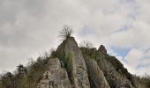 Tour Zu Fuß Ferrières - 14. Promenade des campagnes - Photo 2