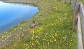 Tocht Stappen Morzine - morzine la cime de Nyon  - Photo 1