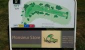 Tour Wandern Châtenoy-en-Bresse - 20190524 Parcours 9 trous Roseraie - Photo 3