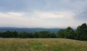 Tour Radtourismus  Saint-Pé-de-Bigorre - St-Pé-de-Bigorre - Oloron - Photo 14