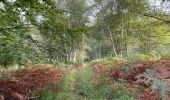 Randonnée Marche Orrouy - en Forêt de Compiègne_41_autour des Petits Monts - Photo 9