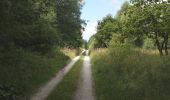 Tour Zu Fuß Roßleben-Wiehe - Großer Rundweg Hohe Schrecke - Photo 6