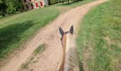 Trail Horseback riding Celles-sur-Plaine - randonnée Celles-sur-Plaine direction Cirey-sur-Vezouze  - Photo 6