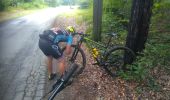 Trail Mountain bike Momignies - Vtt cendron 2018 - Photo 1