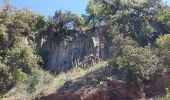 Tocht Stappen Le Puech - Les Vailhès Laulo Plateau d'Auverne Salagou - Photo 14