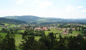 Tour Zu Fuß Neuschönau - Dachs - Photo 4