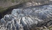 Excursión Senderismo Chamonix-Mont-Blanc - Argentieres, plan Joran,glacier,croix Lognan,les tines - Photo 7