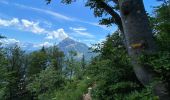 Tour Wandern Saint-Pierre-de-Chartreuse - Le charmant Som en Boucle - Photo 12
