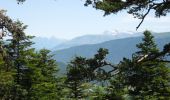 Tour Zu Fuß Saint-Martin-de-Clelles - Chemin du Goutaroux - Photo 7