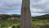 Tocht Stappen West Cork - Ardgroom -  Eyeries - Photo 15