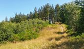 Tocht Stappen Gedinne - Balade à Bourseigne-Neuve - Gedinne - Photo 6